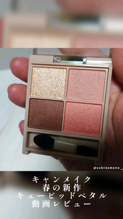シルキースフレアイズ(マットタイプ)/キャンメイク/アイシャドウパレットの人気ショート動画