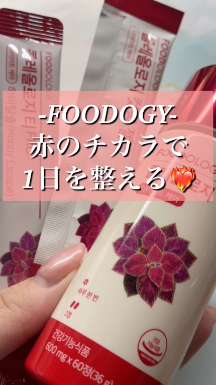 コレオロジーティー/FOODOLOGY/ドリンクの人気ショート動画