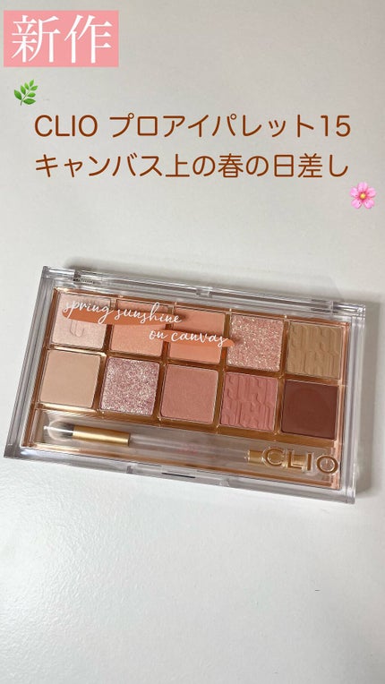 プロ アイ パレット/CLIO/アイシャドウパレットを使ったクチコミ(1枚目)