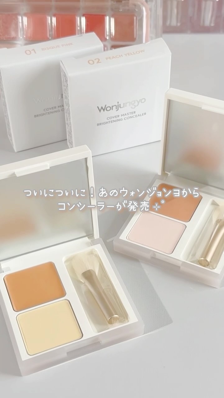 ウォンジョンヨ　カバーマスター ブライトニングコンシーラー/Wonjungyo/パレットコンシーラーの動画クチコミ3つ目