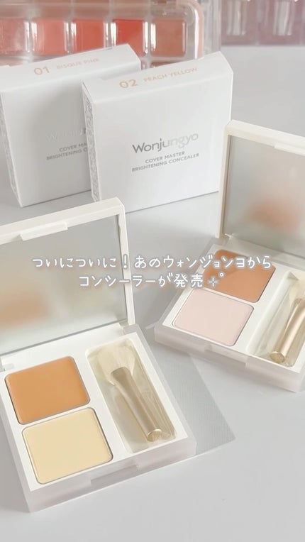 ウォンジョンヨ カバーマスター ブライトニングコンシーラー/Wonjungyo/パレットコンシーラーの動画クチコミ4つ目