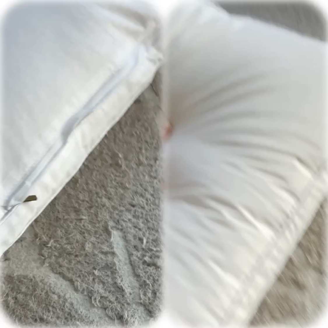 大福まくら/鎌倉ライフ/その他を使ったクチコミ（3枚目）