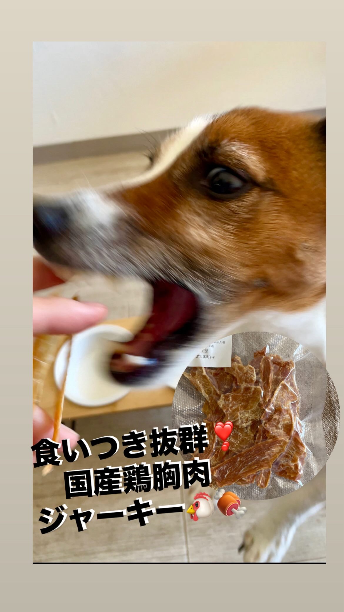 を使ったクチコミ（1枚目）