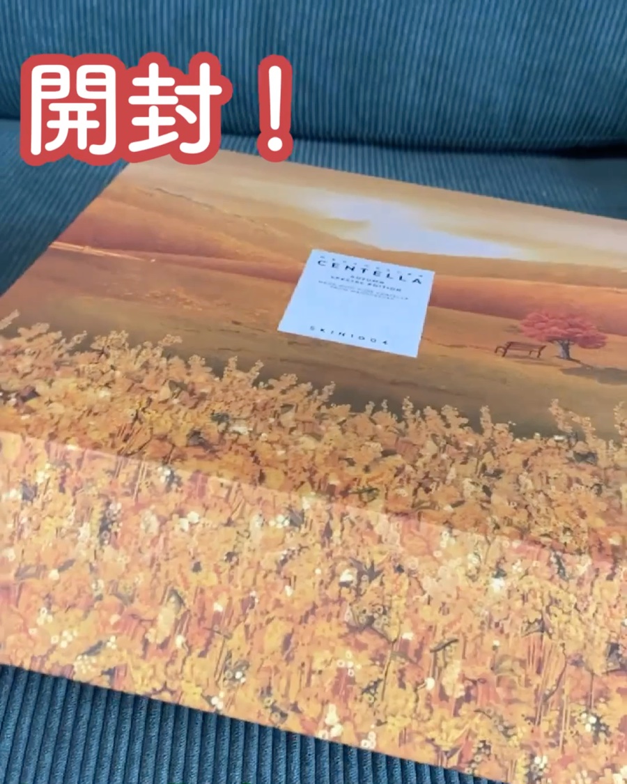 センテラ トラベルキット/SKIN1004/トライアルキットを使ったクチコミ（2枚目）