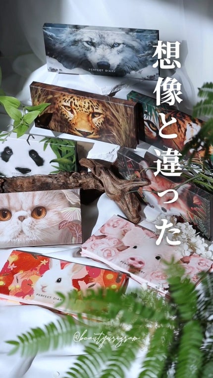 エクスプローラ12色 動物アイシャドウパレット/PERFECT DIARY/アイシャドウパレットの人気ショート動画