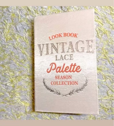 2021 F/Wルックブックパレット Vintage Lace/espoir/パウダーアイシャドウを使ったクチコミ（2枚目）