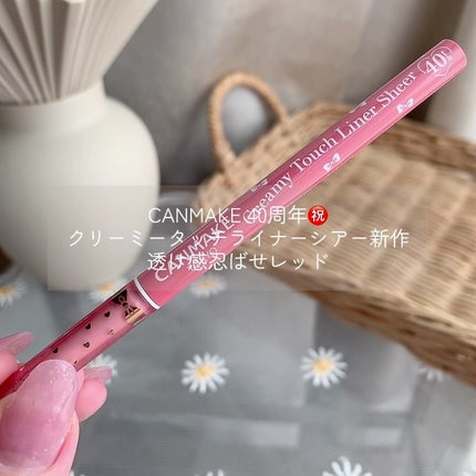 クリーミータッチライナー シアー/キャンメイク/ジェルアイライナーの人気ショート動画