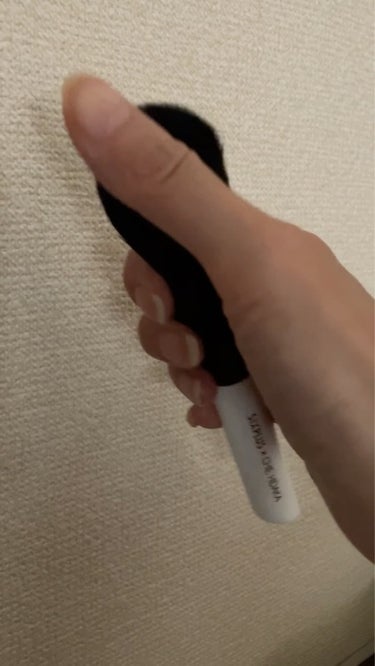 「CHIE HIDAKA コラボ」携帯用メイクブラシセット5本セット-BLACK & WHITE シリーズ /SIXPLUS/メイクブラシを使ったクチコミ（5枚目）