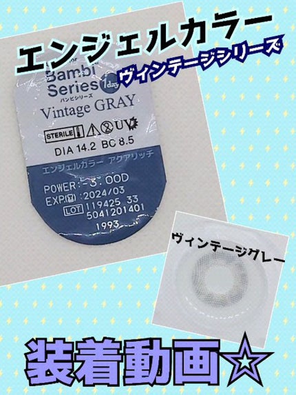 Angelcolor Bambi Series Vintage 1day/AngelColor/ワンデー(1DAY)カラコンの人気ショート動画