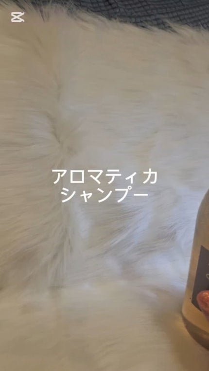 キヌアプロテインシャンプー/AROMATICA/市販シャンプーの人気ショート動画