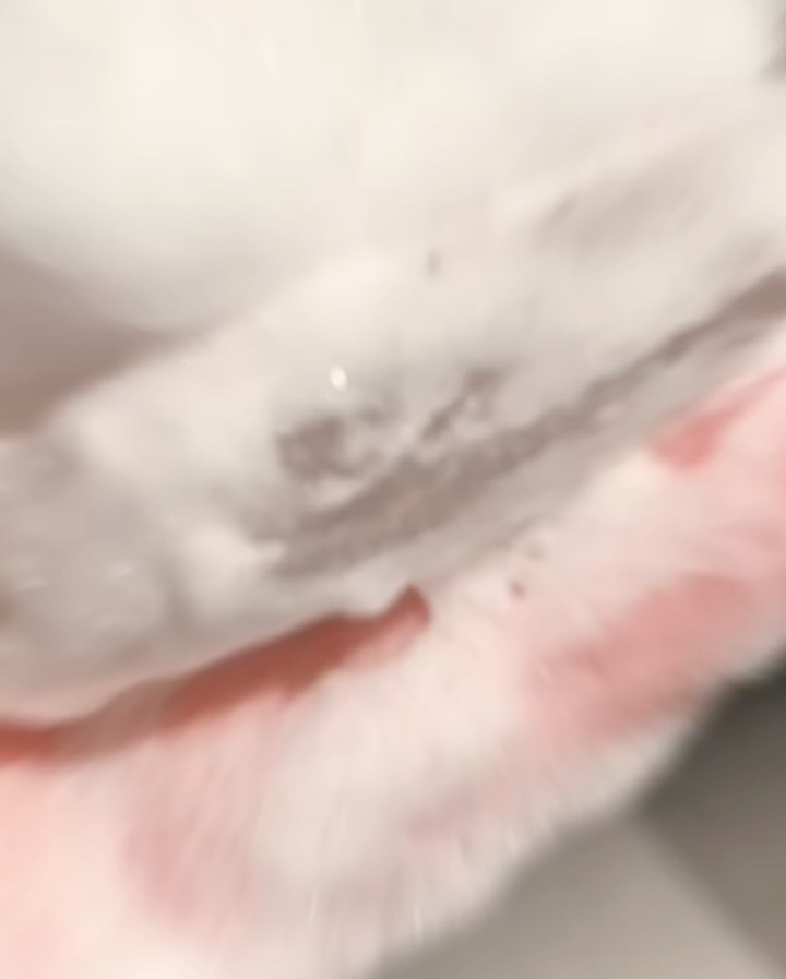 ＭＢＦＦソイフローラソープＰｒｏ/MBFF/洗顔石鹸の動画クチコミ5つ目