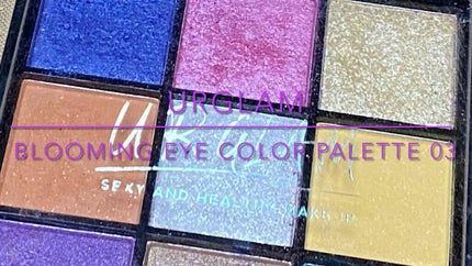 UR GLAM BLOOMING EYE COLOR PALETTE/U R GLAM/アイシャドウパレットの人気ショート動画