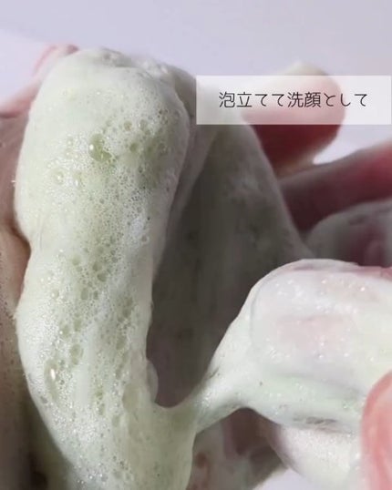 グリーントマトクレイマスククレンザー/FULLY/洗い流すパック・マスクを使ったクチコミ(3枚目)