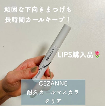 耐久カールマスカラ/CEZANNE/マスカラの人気ショート動画