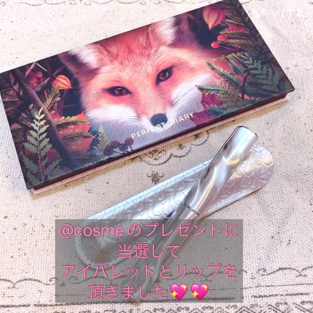 エクスプローラ12色 動物アイシャドウパレット/PERFECT DIARY/アイシャドウパレットを使ったクチコミ（1枚目）