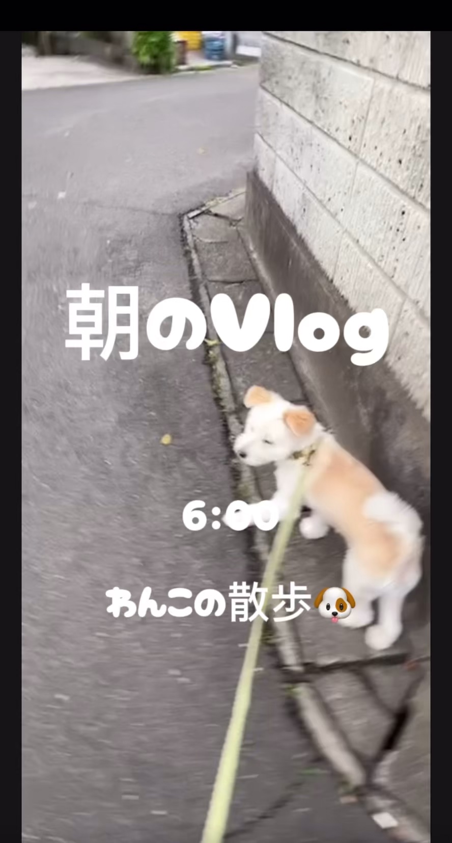 潤浸保湿 化粧水 III とてもしっとり/キュレル/化粧水の人気ショート動画