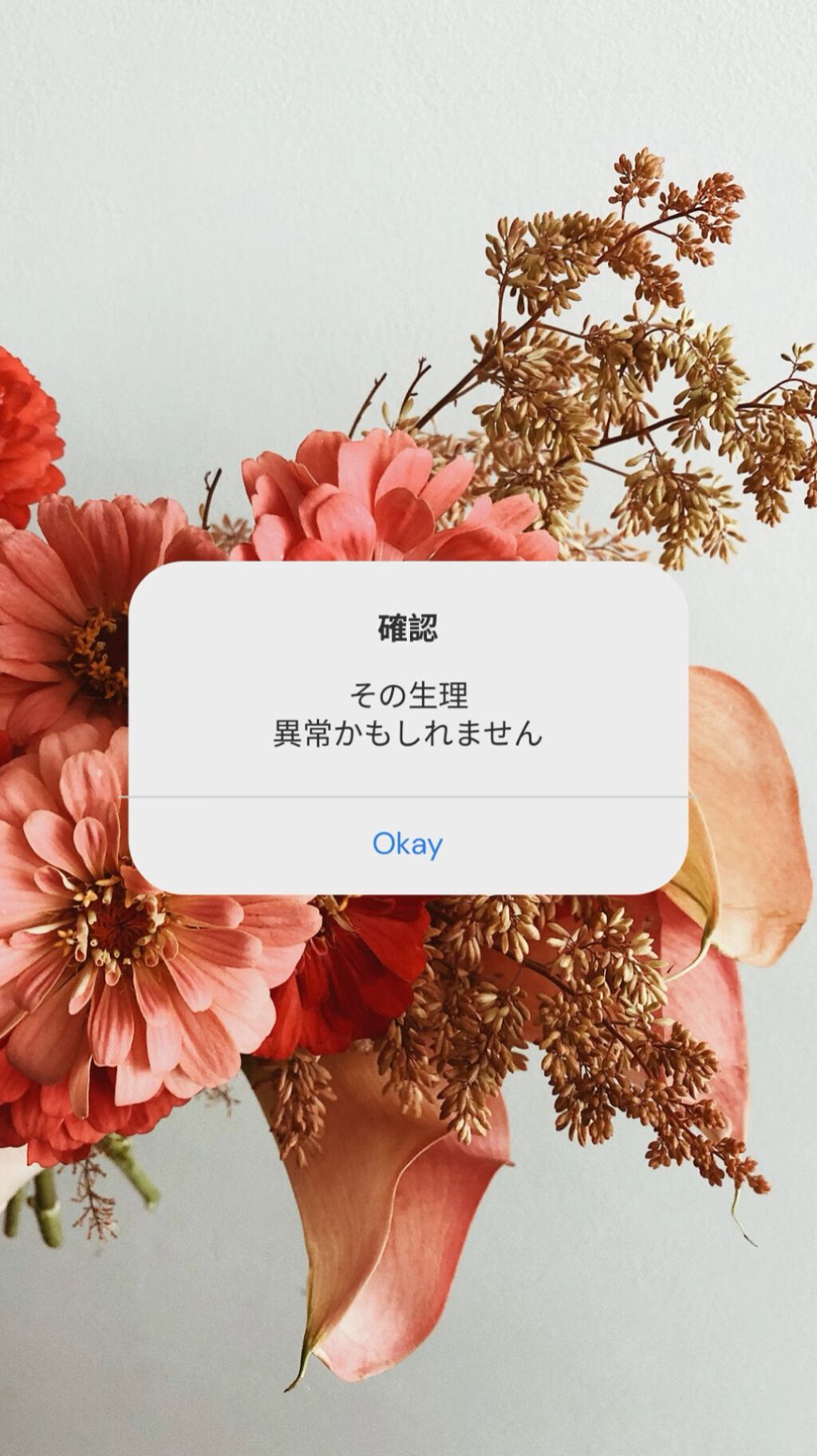 試してみた ハーブのお茶 有機ルイボスティー 無印良品の商品情報 通販 Lips