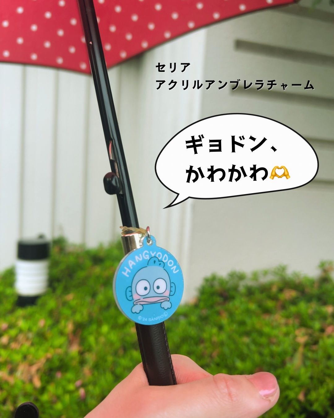 アクリルアンブレラチャーム/セリア/その他を使ったクチコミ（1枚目）
