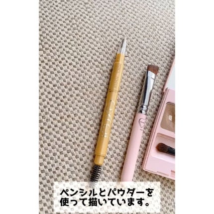 パウダー&ペンシル アイブロウEX/excel/アイブロウペンシルを使ったクチコミ(2枚目)