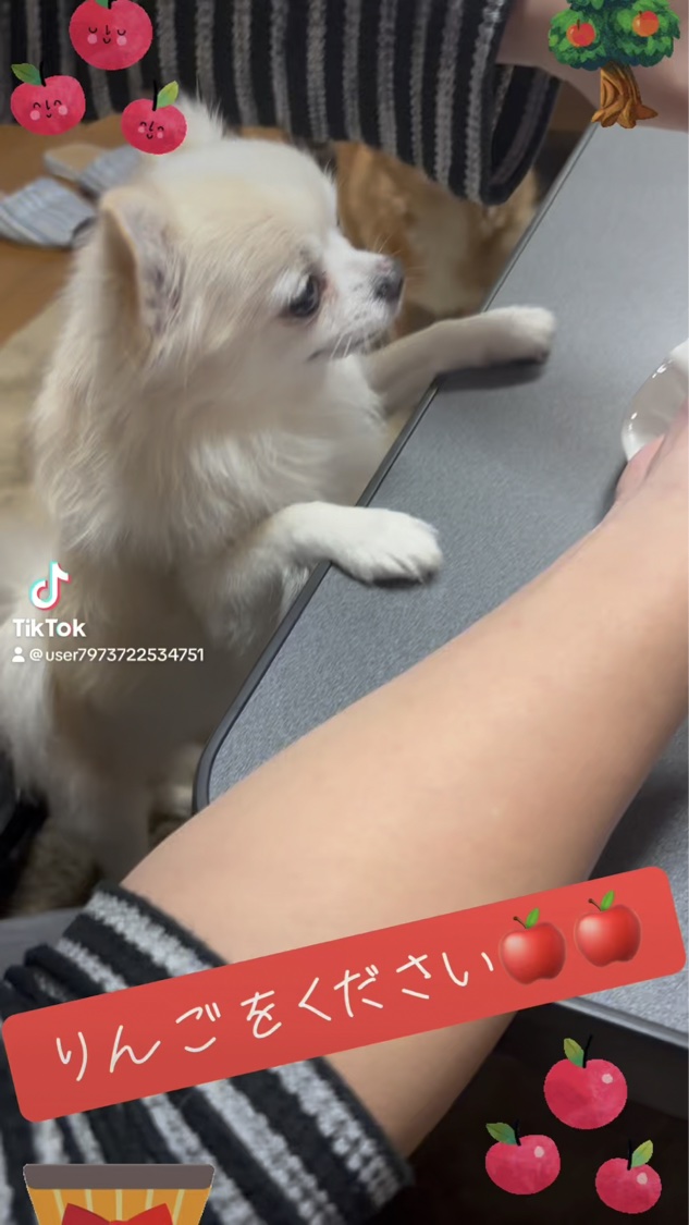 ビタギビング アクアセラムマスク/ByUR/シートマスク・パックの動画クチコミ1つ目