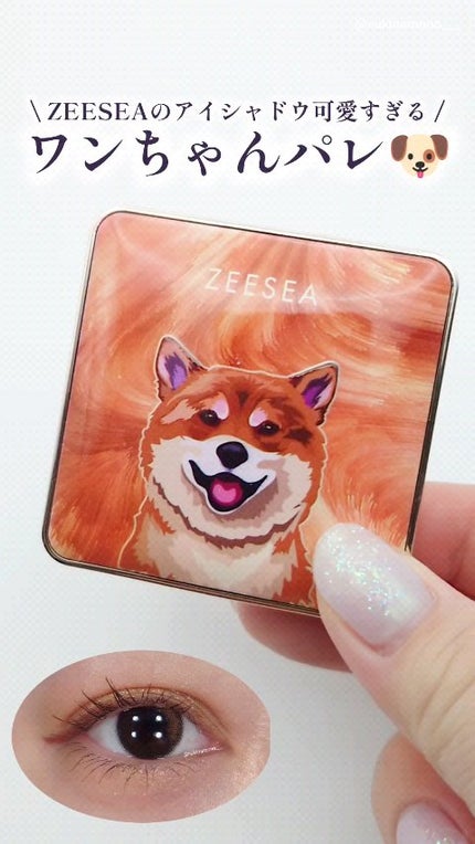 アニマルアイシャドウ(4シェード)/ZEESEA/アイシャドウパレットの人気ショート動画