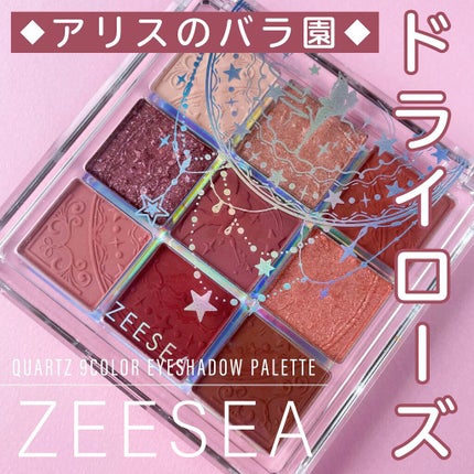 クォーツ 9色アイシャドウパレット(ドリームランドアイシャドウ)/ZEESEA/アイシャドウパレットの人気ショート動画