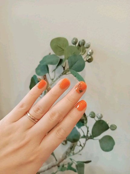 pa ネイルカラー/pa nail collective/マニキュアの人気ショート動画