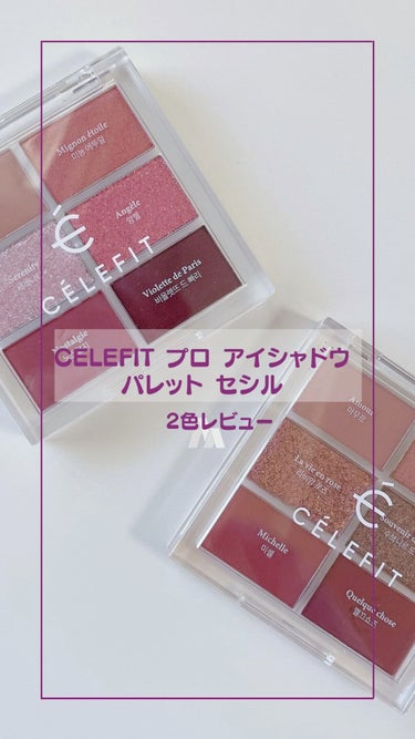  - CELEFIT プロ アイシャドウ パレッ