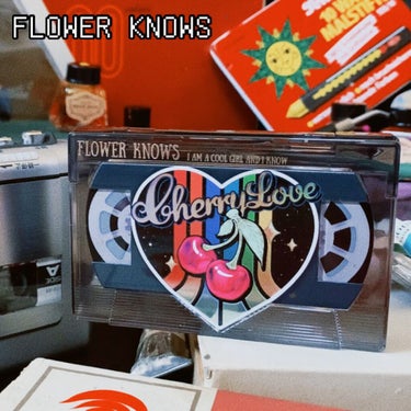  レトロマグネティック アイシャドウパレット/FlowerKnows/アイシャドウパレットを使ったクチコミ（8枚目）