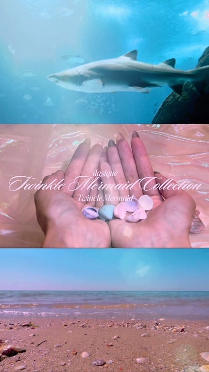 シャドウパレット/dasique/アイシャドウパレットの人気ショート動画