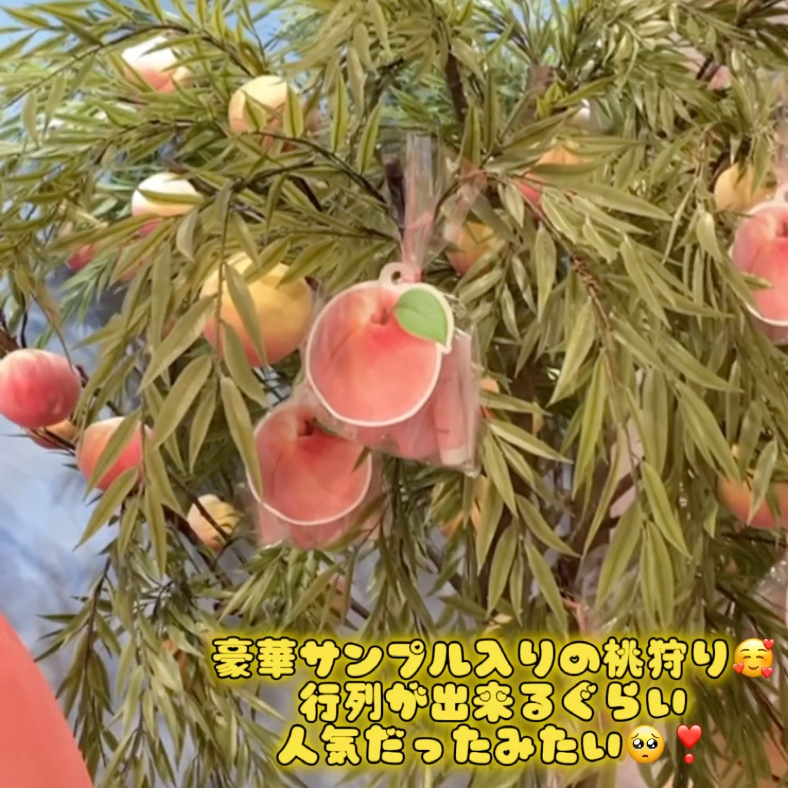 桃70%ナイアシンセラム/Anua/美容液を使ったクチコミ（3枚目）