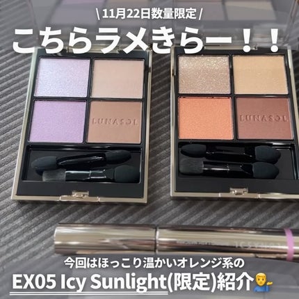 ルナソル アイカラーレーションN EX05 Icy Sunlight / LUNASOL ルナソル アイカラーレーションN EX05 Icy Sunlight / LUNASOL