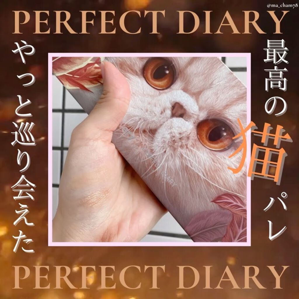エクスプローラ12色 動物アイシャドウパレット/PERFECT DIARY/アイシャドウパレットを使ったクチコミ（1枚目）