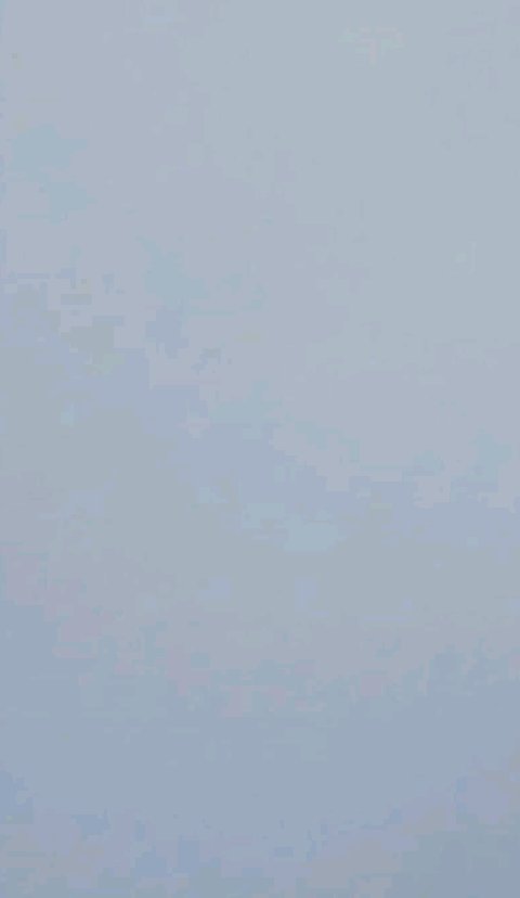 ネンマクフェイク ルージュ/Visée/口紅を使ったクチコミ（1枚目）