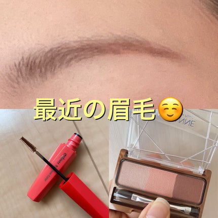 ノーズ&アイブロウパウダー/CEZANNE/パウダーアイブロウの人気ショート動画