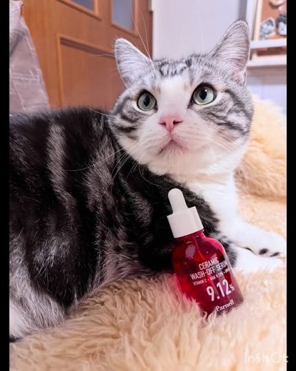 AHA 9.12 オミジャ 陶器肌 ウォッシュオフ セラム/parnell/美容液の人気ショート動画