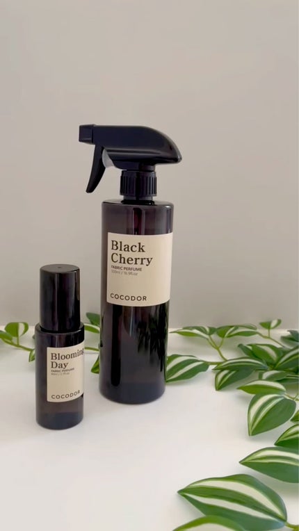 COCODOR Fabric Perfume フォレストダウンの香りのクチコミ「
🖤🍒新しく発売されたルームスプレーでいい香りに🍒🖤
▶︎Fabric Perfuma(ファ.....」(1枚目)