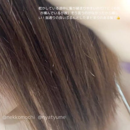 ボンリペア シャンプー/トリートメント/bonparme/シャンプー・コンディショナーを使ったクチコミ(3枚目)