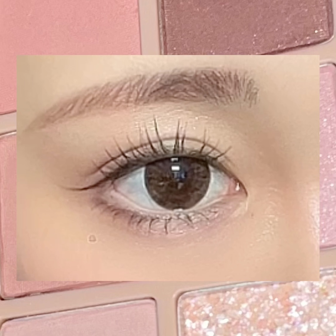 MDショールモーメント アイシャドウパレット 02 ミューズモーメント/mude./アイシャドウパレットを使ったクチコミ（2枚目）