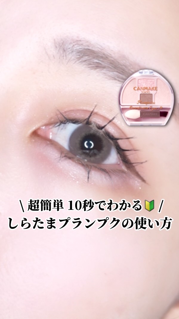 
【🔰】〜肌色問わず使いやすい涙袋爆誕メーカー〜

｡.｡:+* ﾟ ゜ﾟ *+:｡.｡:+* ﾟ ゜ﾟ *+:｡.｡.｡:+* ﾟ ゜ﾟ

本日のアイテム

ブランド名: CANMAKE
商品名: プランぷくコーデアイズNeo
　　　N