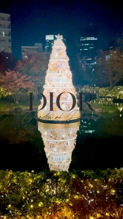 試してみた】Dior 【旧】ディオール ホリデー オファーのリアル 試してみた】Dior 【旧】ディオール ホリデー オファーのリアル