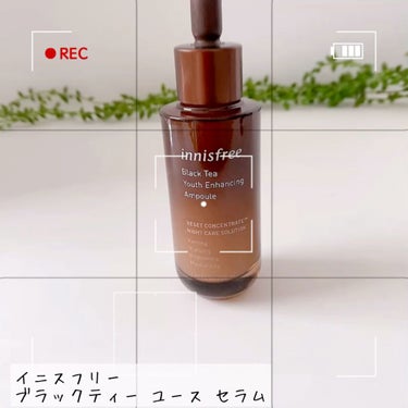 ブラックティー ユース セラム/innisfree/美容液を使ったクチコミ（1枚目）