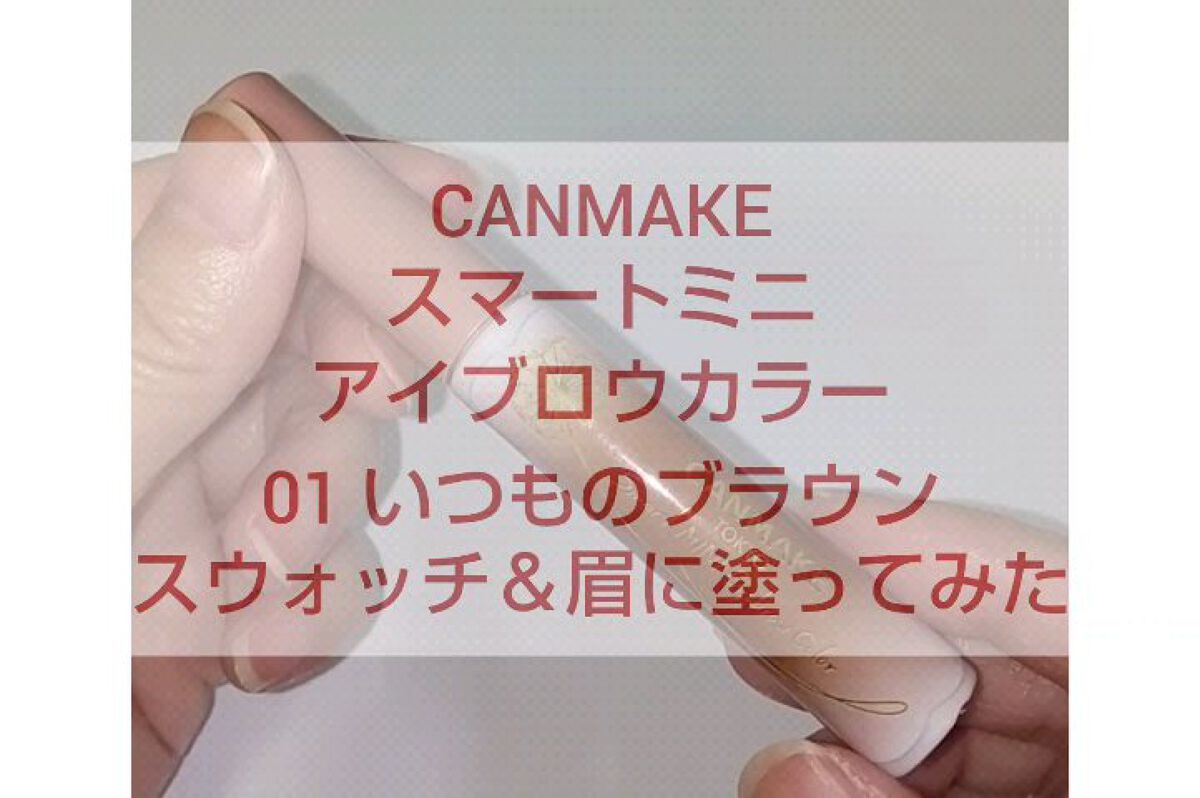 スマートミニアイブロウカラー/キャンメイク/眉マスカラの動画クチコミ1つ目