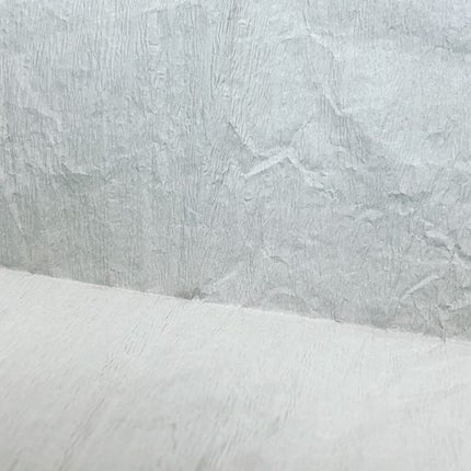 ジューシーリップティント/キャンメイク/口紅を使ったクチコミ(3枚目)