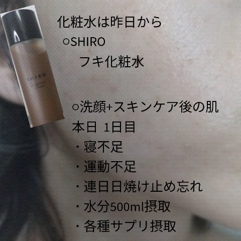 ラワンぶき化粧水/SHIRO/化粧水を使ったクチコミ（1枚目）