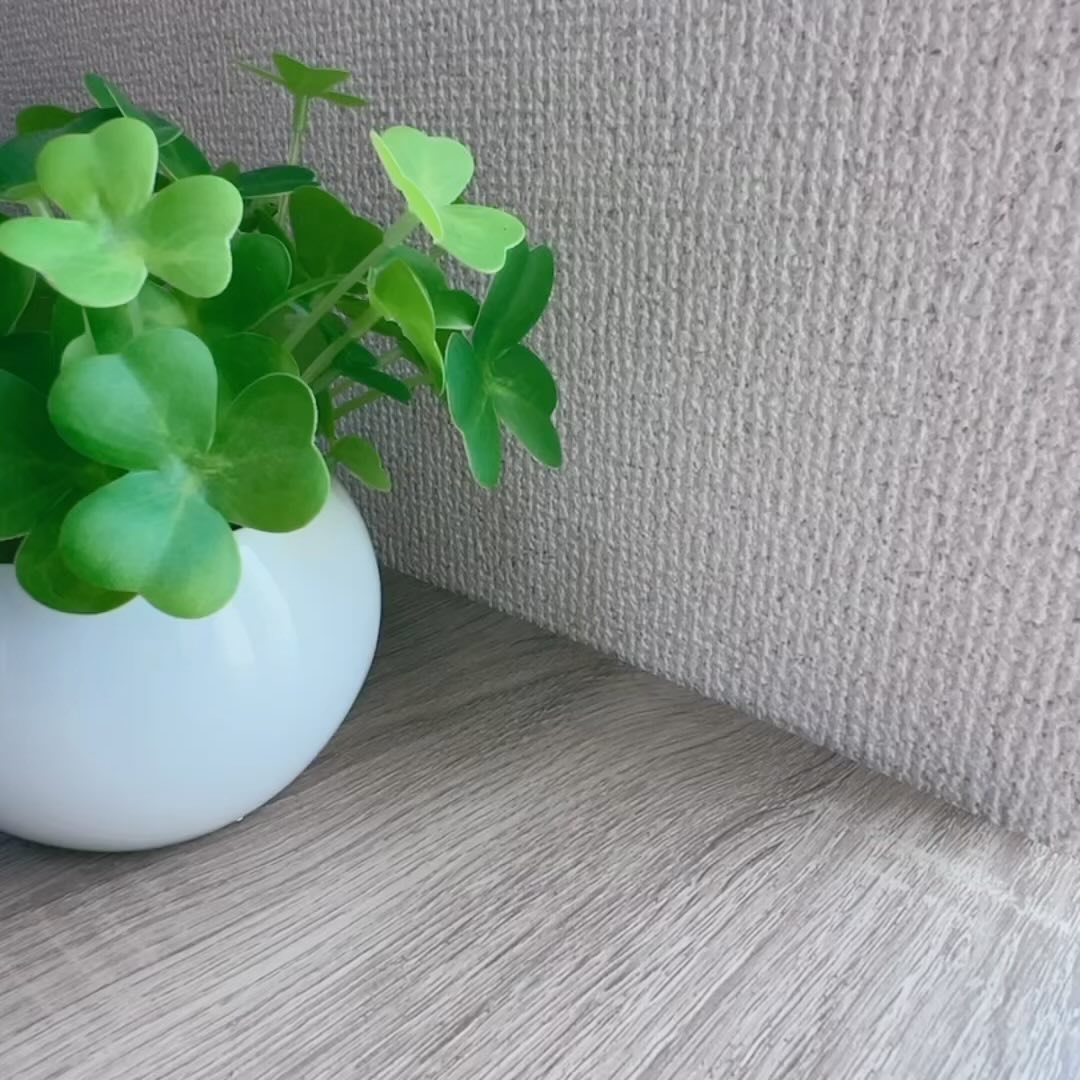 炭酸ガスペースト コーライフ/CO2LIFE/洗い流すパック・マスクの動画クチコミ1つ目