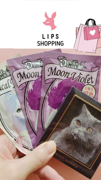 Venus Marble アイシャドウキャットシリーズ/Venus Marble/アイシャドウパレットの人気ショート動画