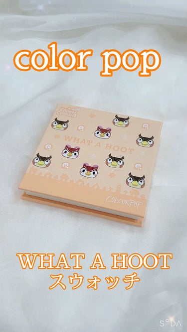 what a hoot/ColourPop/パウダーアイシャドウを使ったクチコミ（1枚目）