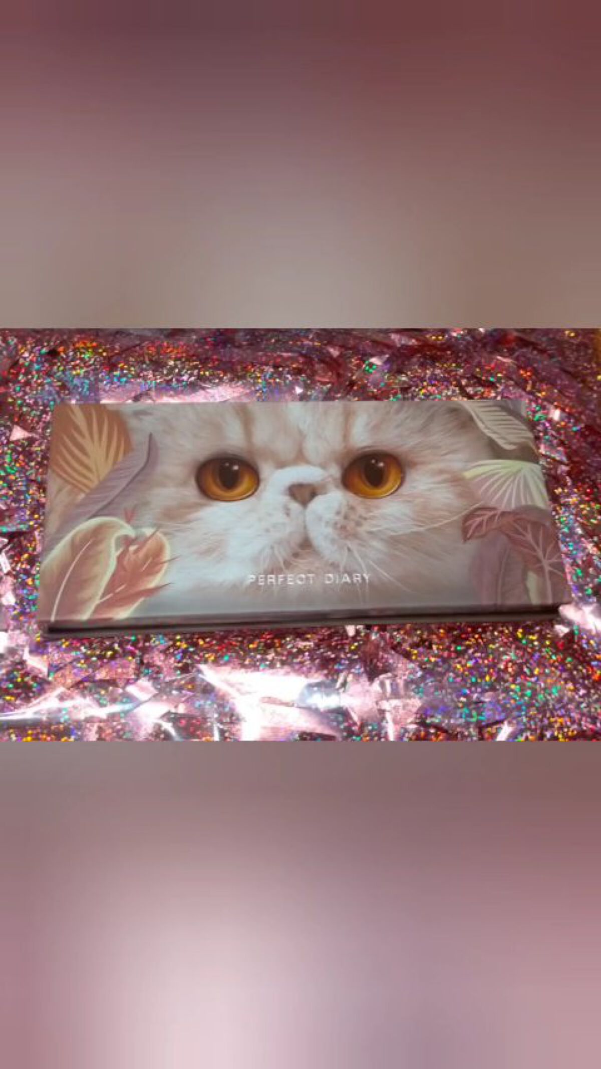 エクスプローラ12色 動物アイシャドウパレット/PERFECT DIARY/アイシャドウパレットを使ったクチコミ（1枚目）