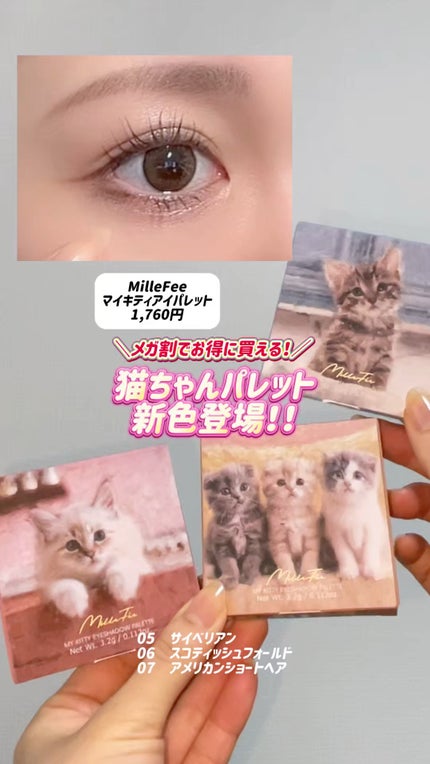 マイキティアイパレット/MilleFée/アイシャドウパレットの人気ショート動画